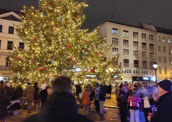 Old Centre - Rybarska Brana